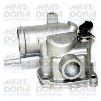 Thermostat, coolant